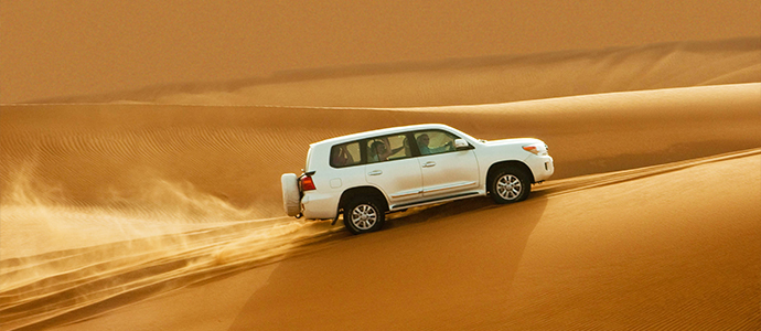 Desert Safari
