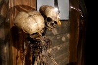 Ripley's Believe It Or Not