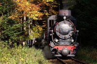 Bieszczady