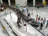 Field Museum