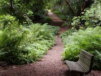 Golden Gate Park