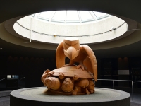 Museum of Anthropology
