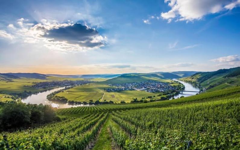 The Rhine & Moselle 5* River Cruise w/Drinks Package