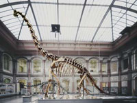 Nature Museum