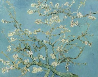 Almond Blossom, Vincent Van Gogh